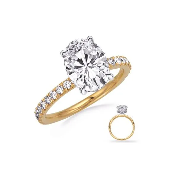 14K TT 0.55ctw Hidden Halo Diamond Semi Mount for 11x9 Oval Gemstone Raleigh Diamond Fine Jewelry Raleigh, NC