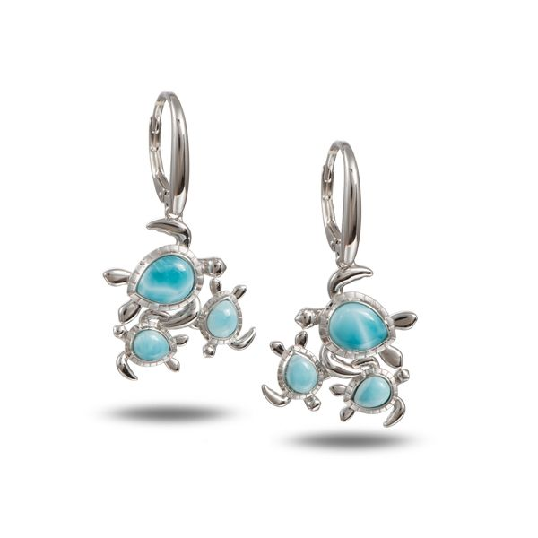 Earrings Robison Jewelry Co. Fernandina Beach, FL