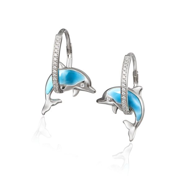 Earrings Robison Jewelry Co. Fernandina Beach, FL