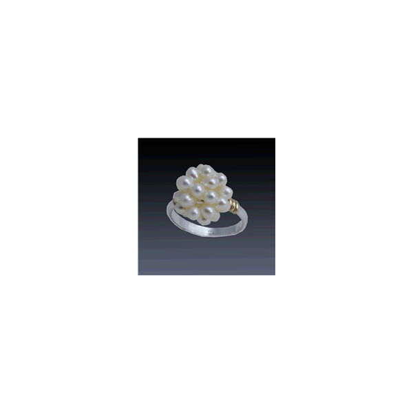Silver Ring Selman's Jewelers-Gemologist McComb, MS