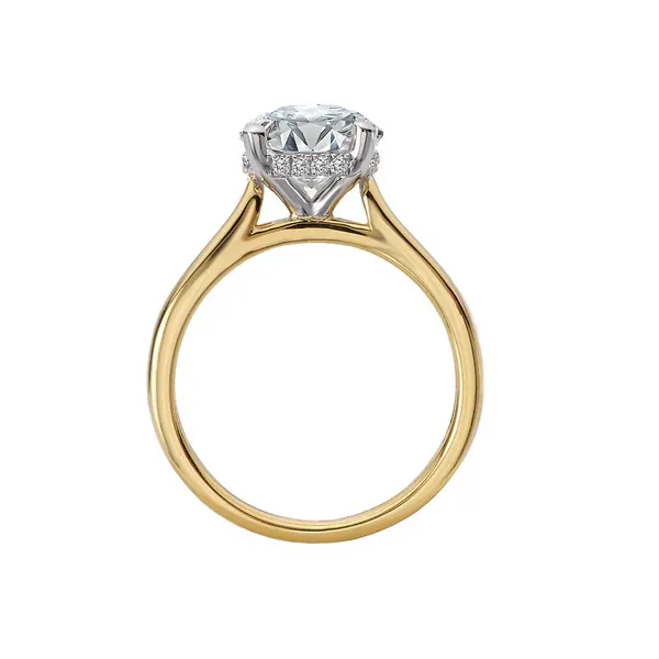 14kt Yellow Gold Solitaire Hidden Halo Engagement Mounting Image 2 Stambaugh Jewelers Defiance, OH