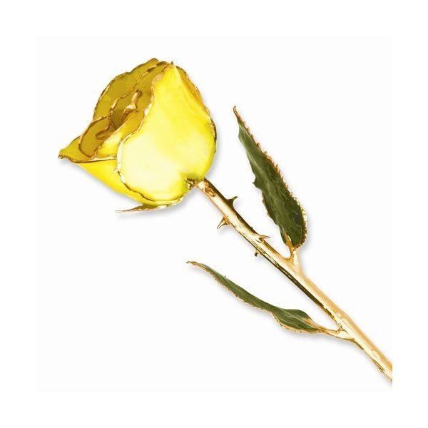 Yellow 24kt Gold Dipped Rose Stambaugh Jewelers Defiance, OH