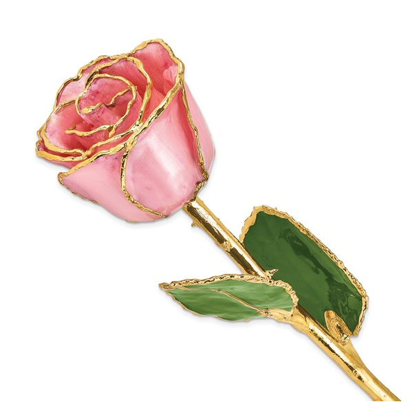 Pink 24kt Gold Dipped Rose Stambaugh Jewelers Defiance, OH