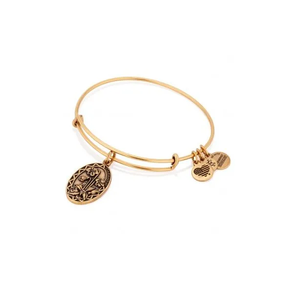 Alex and Ani Bracelet Stambaugh Jewelers Defiance, OH