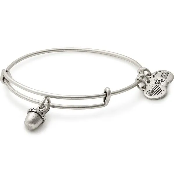 Alex and Ani Bracelet Stambaugh Jewelers Defiance, OH