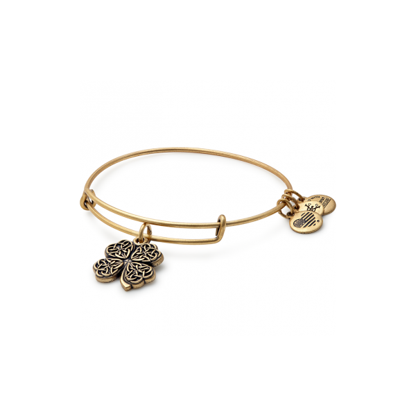 Alex and Ani Bracelet Stambaugh Jewelers Defiance, OH