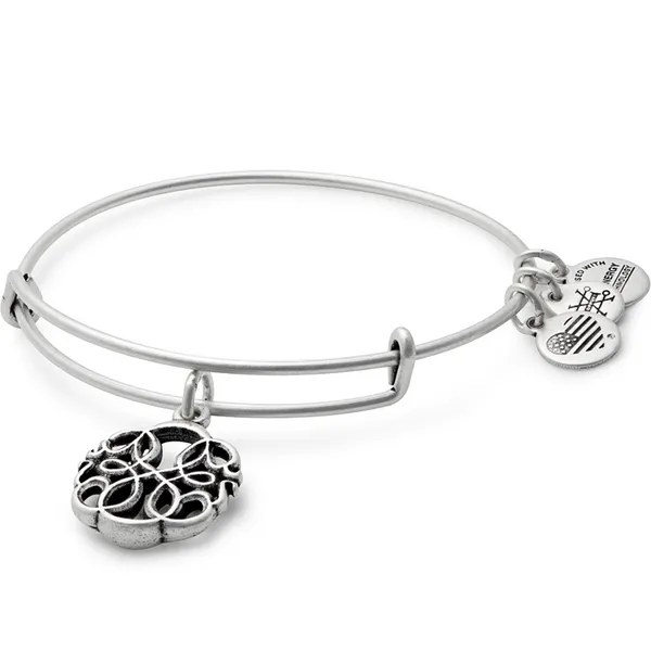 Alex and Ani Bracelet Stambaugh Jewelers Defiance, OH