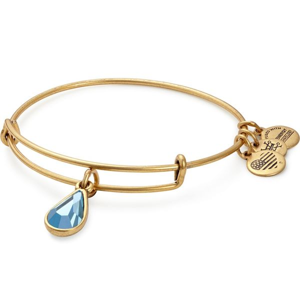 Alex and Ani Bracelet Stambaugh Jewelers Defiance, OH