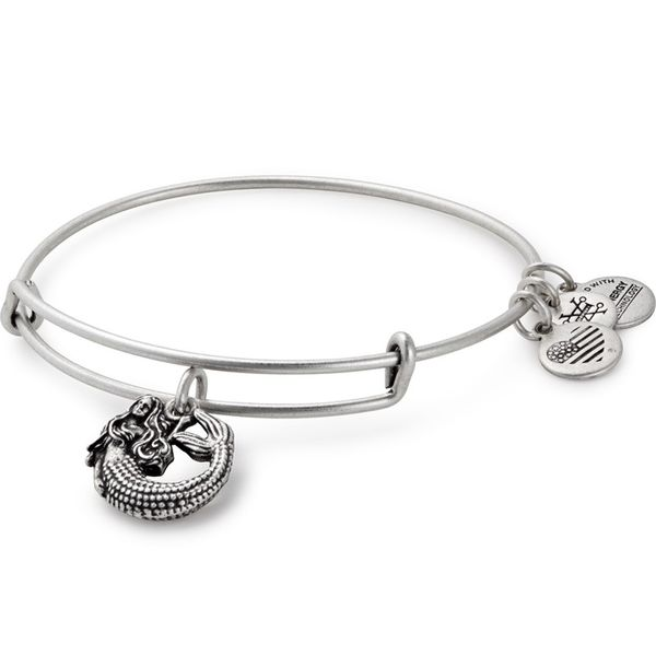 Alex and Ani Bracelet Stambaugh Jewelers Defiance, OH