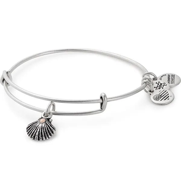 Alex and Ani Bracelet Stambaugh Jewelers Defiance, OH