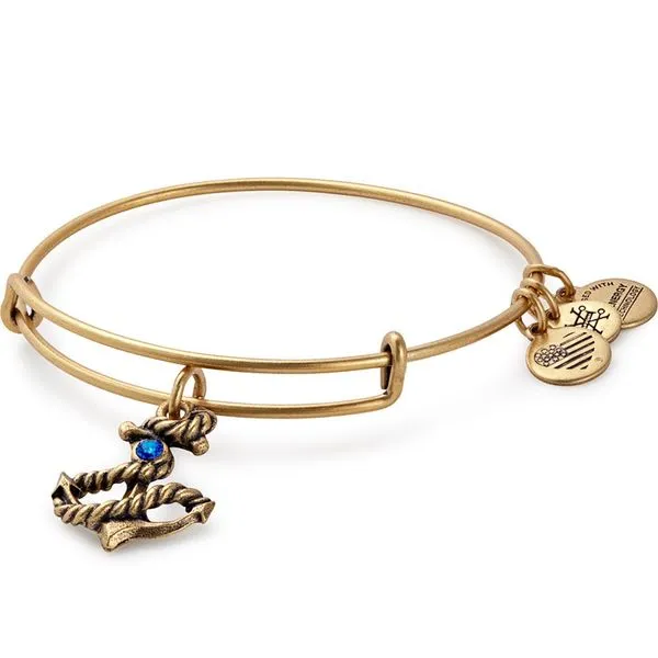 Alex and Ani Bracelet Stambaugh Jewelers Defiance, OH