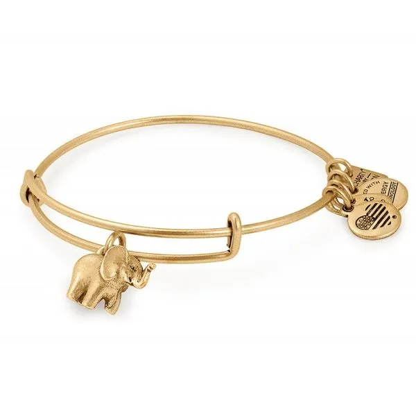 Alex and Ani Bracelet Stambaugh Jewelers Defiance, OH