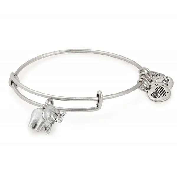 Alex and Ani Bracelet Stambaugh Jewelers Defiance, OH