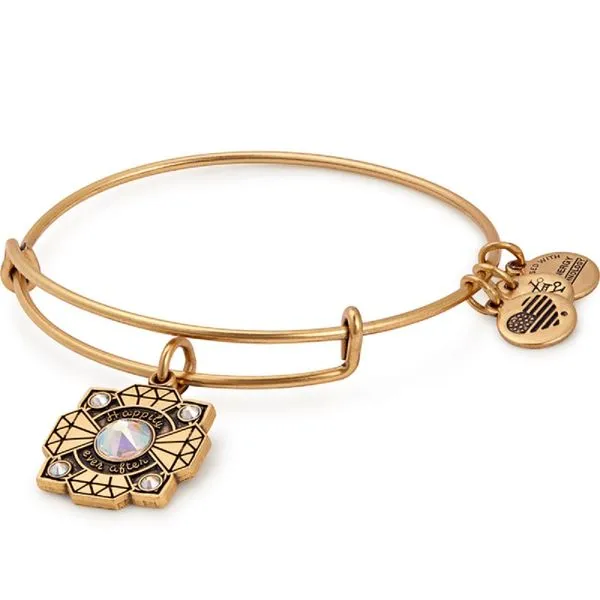 Alex and Ani Bracelet Stambaugh Jewelers Defiance, OH