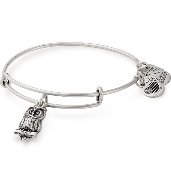 Alex and Ani Bracelet Stambaugh Jewelers Defiance, OH