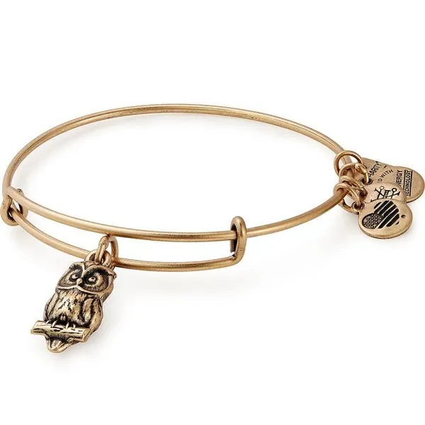 Alex and Ani Bracelet Stambaugh Jewelers Defiance, OH