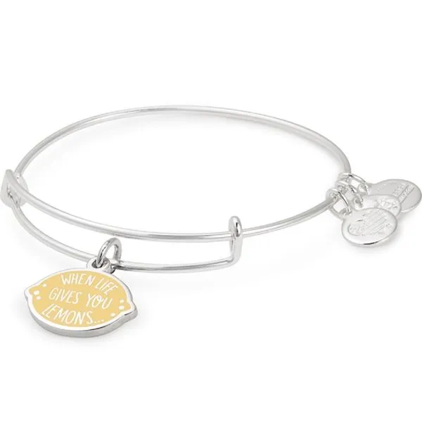 Alex and Ani Bracelet Stambaugh Jewelers Defiance, OH