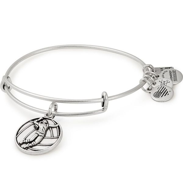 Alex and Ani Bracelet Stambaugh Jewelers Defiance, OH