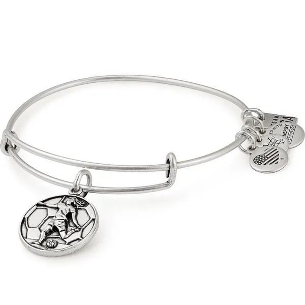 Alex and Ani Bracelet Stambaugh Jewelers Defiance, OH