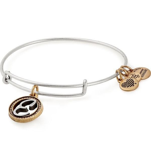 Alex and Ani Bracelet Stambaugh Jewelers Defiance, OH