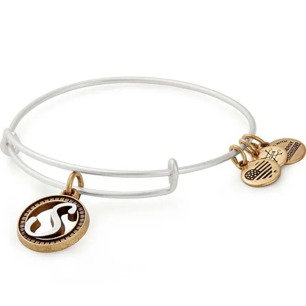 Alex and Ani Bracelet Stambaugh Jewelers Defiance, OH