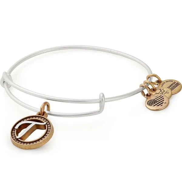 Alex and Ani Bracelet Stambaugh Jewelers Defiance, OH