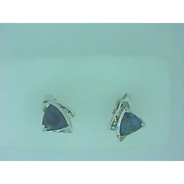 Earring SVS Fine Jewelry Oceanside, NY