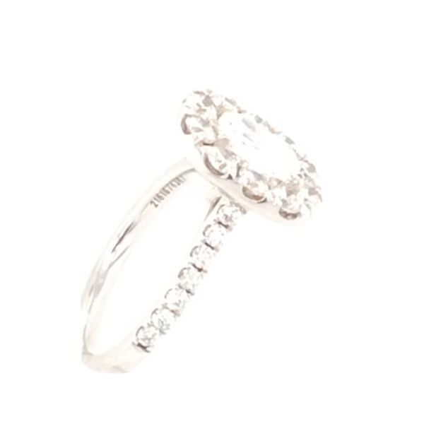 14K White Gold Cushion Cut Halo Diamond Engagement Ring Image 3 SVS Fine Jewelry Oceanside, NY