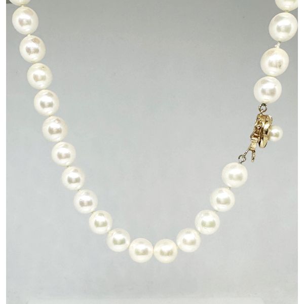 Pearls Tena's Fine Diamonds and Jewelry Athens, GA