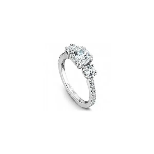 3/4CTW 14K WG Three Stone Style Fancy Crown, Split Prongs, Euro Shank Mined Diamond Engagement Ring The Ring Austin Round Rock, TX
