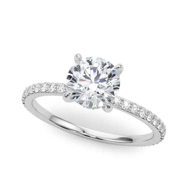 1/3CTW 14K White Gold With Mined diamond and hidden Halo Engagement Ring The Ring Austin Round Rock, TX