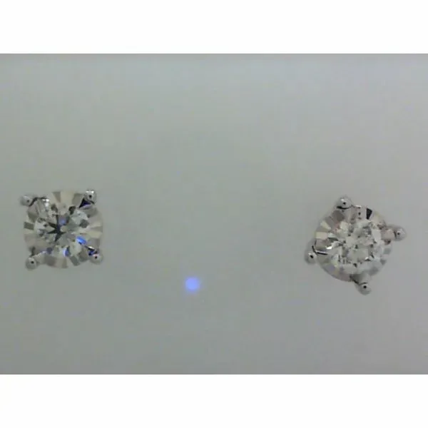 Diamond Earrings Tom Cook Jeweler, Inc. Daytona Beach, FL