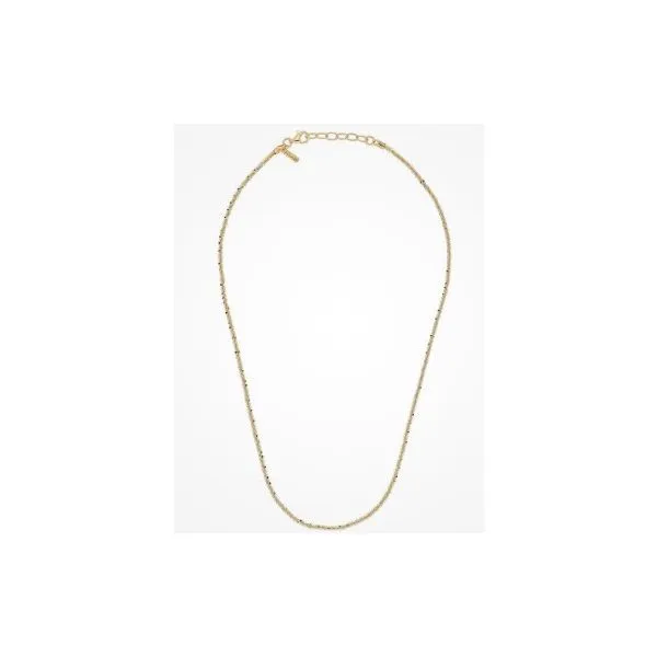 Sterlling Necklace or Meddalion Van Horn Jewelers Owego, NY