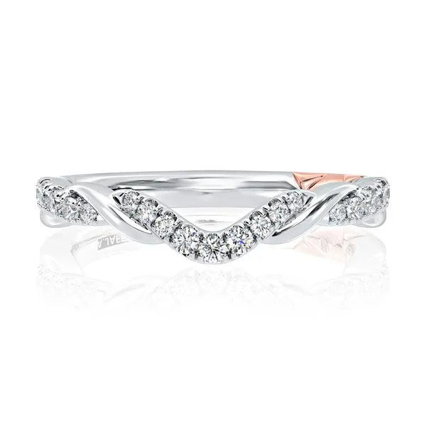Curved Alternating Row Diamond Wedding Band Image 2 Baxter's Fine Jewelry Warwick, RI