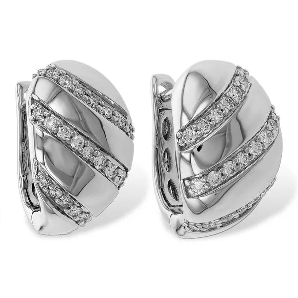 14KT Gold Earrings D'Errico Jewelry Scarsdale, NY