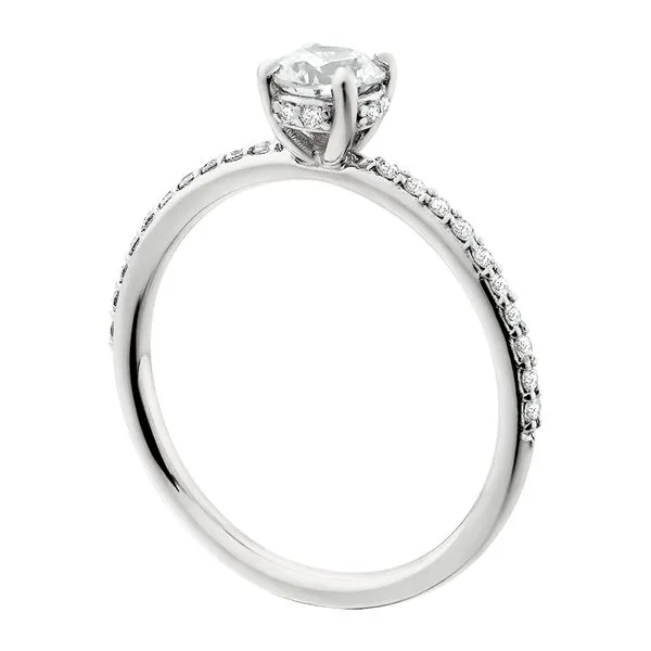 14K White Shared Prong Hidden Halo Image 2 Tennies Jewelry Appleton, WI