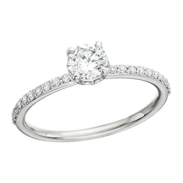 14K White Shared Prong Hidden Halo Tennies Jewelry Appleton, WI