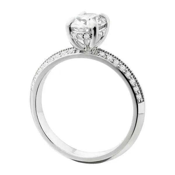 14K White Pave Hidden Halo Semi Image 3 Tennies Jewelry Appleton, WI