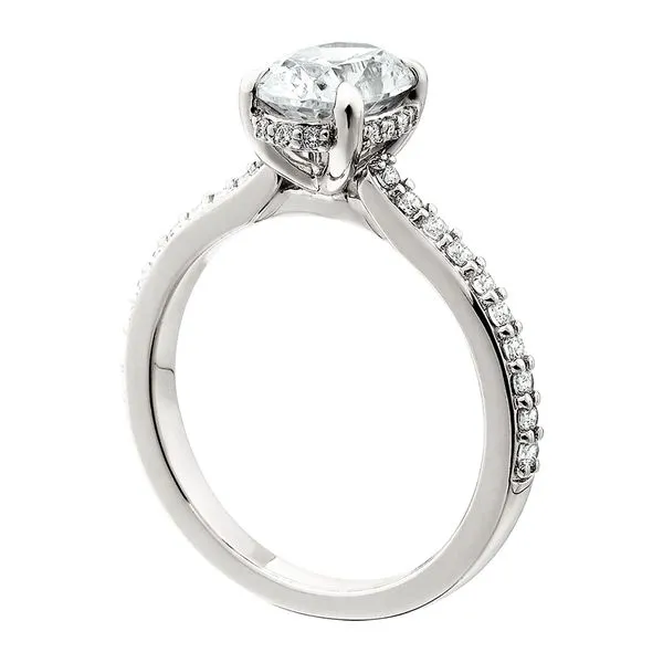 Low Cathedral Hidden Halo Semi Image 2 Tennies Jewelry Appleton, WI