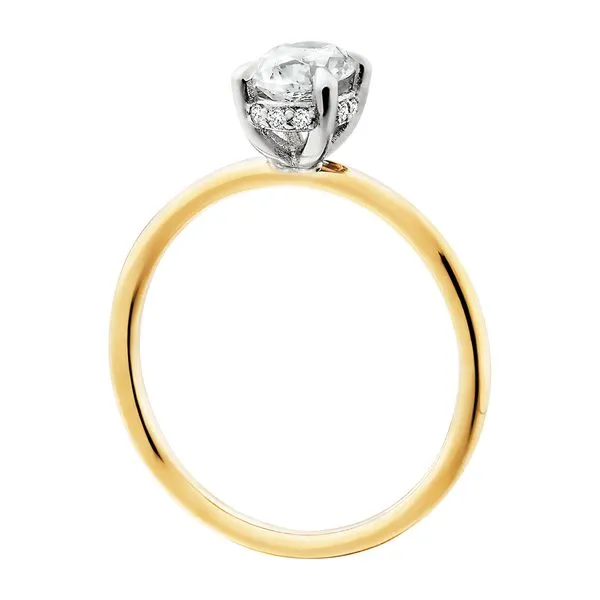 Hidden Halo Solitaire .07tw Image 4 Tennies Jewelry Appleton, WI