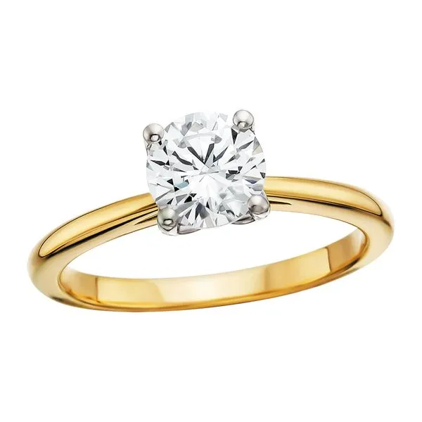 14TT Solitaire Cathedral Semi Tennies Jewelry Appleton, WI