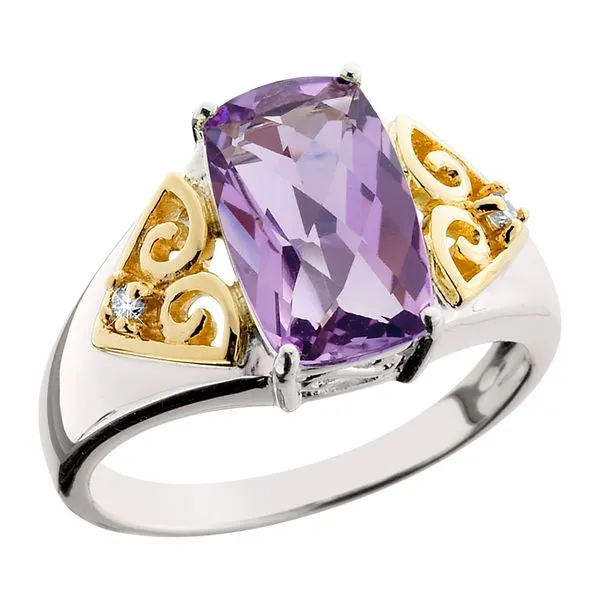SS & 14kt Amethyst Ring Tennies Jewelry Appleton, WI