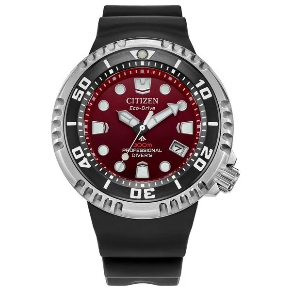 Citizen Stainless Steel Promaster Eco Mens Watch Thomas A. Davis Jewelers Holland, MI