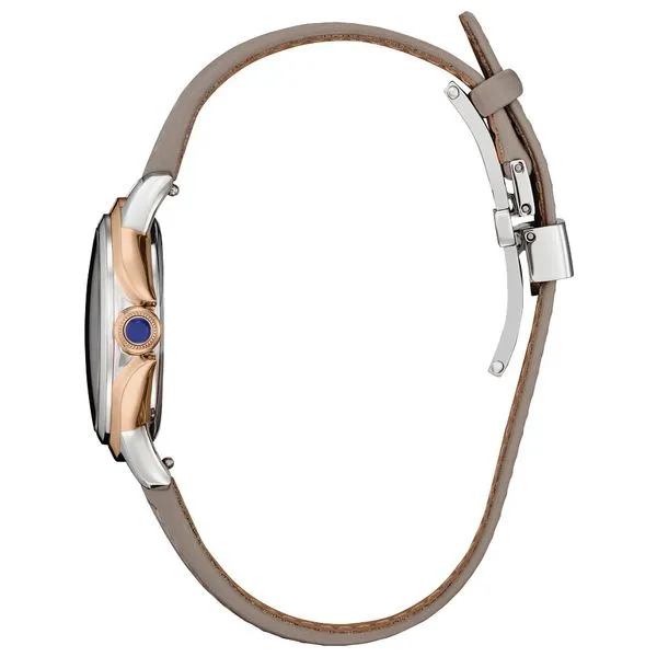 Citizen Stainless Steel Dress/Classic Eco Ladies Watch Image 2 Albert's Jewelers Kingsland, GA