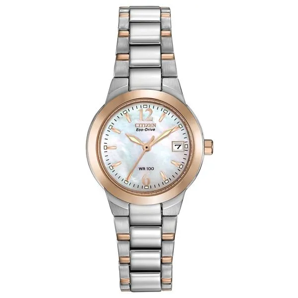 Citizen Stainless Steel Dress/Classic Eco Ladies Watch House of Silva Wooster, OH