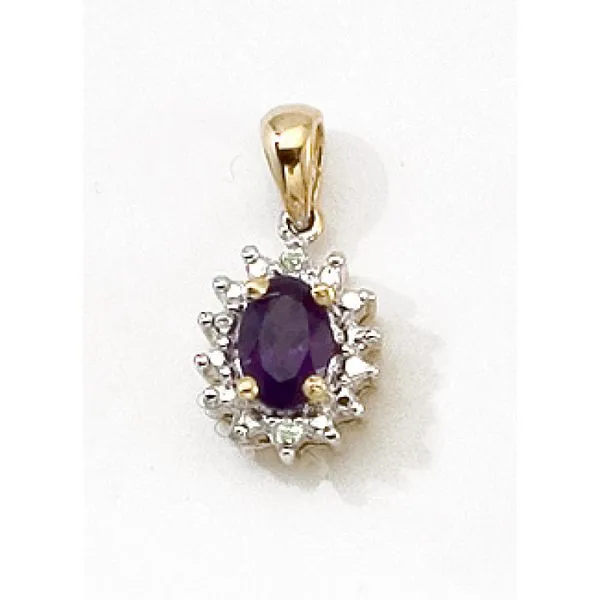 10K Yellow Gold Oval Amethyst and Diamond Halo Birthstone Pendant Arlene's Fine Jewelry Vidalia, GA