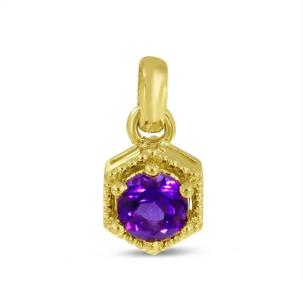 14K Yellow Gold Round Amethyst Hexagon Birthstone Pendant Ambassador Diamond Jewelers Tucson, AZ