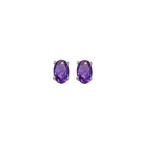 14Kt White Gold & Amethyst 1/2Ctw Earring Pfaff Jewelers Grandville, MI