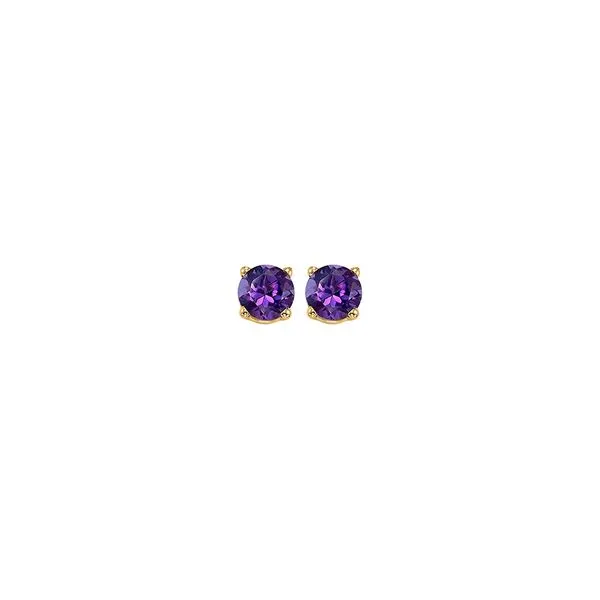 14Kt Yellow Gold & Amethyst 1/5Ctw Earring Pfaff Jewelers Grandville, MI