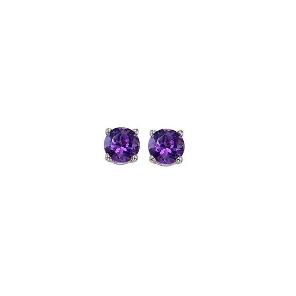 14Kt White Gold & Amethyst 1/2Ctw Earring Pfaff Jewelers Grandville, MI